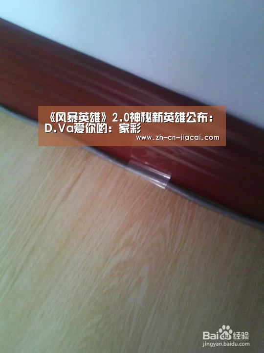 《风暴英雄》2.0神秘新英雄公布：D.Va爱你哟：家彩
