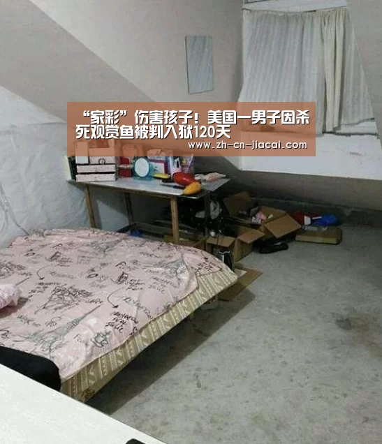 家彩