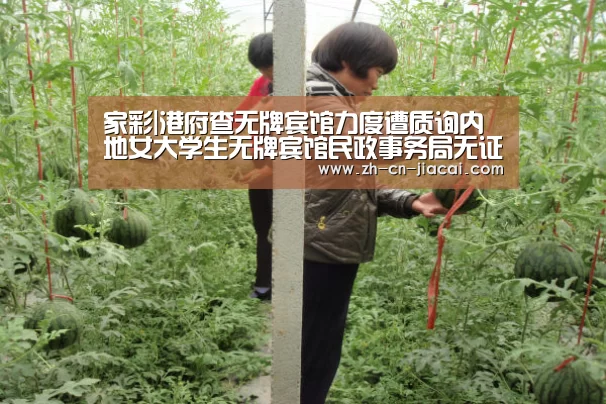 家彩|港府查无牌宾馆力度遭质询内地女大学生无牌宾馆民政事务局无证宾馆(图2) 家彩