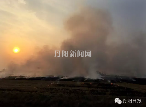 【家彩】政企合作推动城市便民服务管理信息化