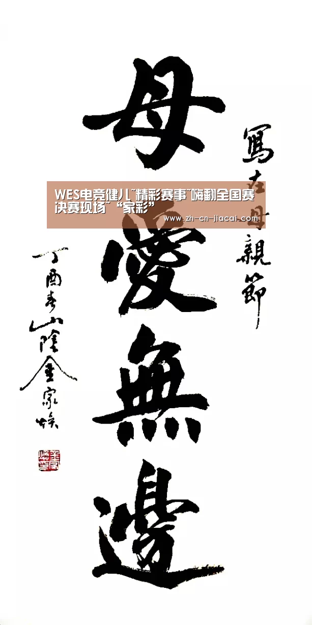 WES电竞健儿~精彩赛事~嗨翻全国赛决赛现场~“家彩”