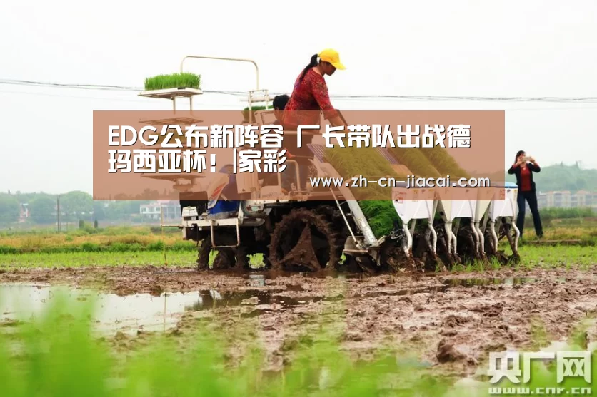 EDG公布新阵容 厂长带队出战德玛西亚杯!|家彩(图4) 家彩